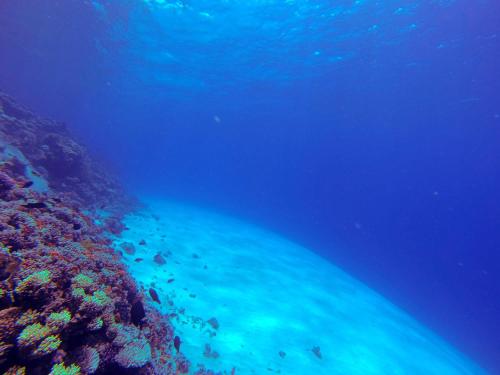 a view of a coral reef in the ocean at El Primo Hotel Dahab in Dahab
