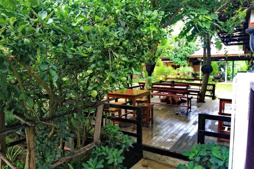 een terras met tafels en banken onder een appelboom bij Baan Chanoknunt Resort Pai in Pai