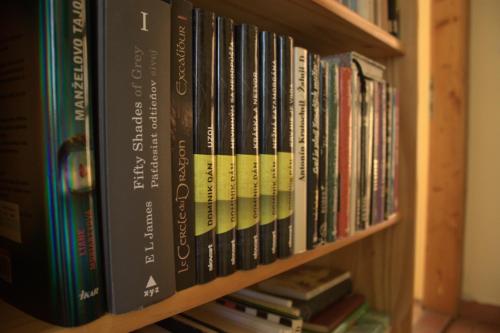 Biblioteca en la habitación en casa particular