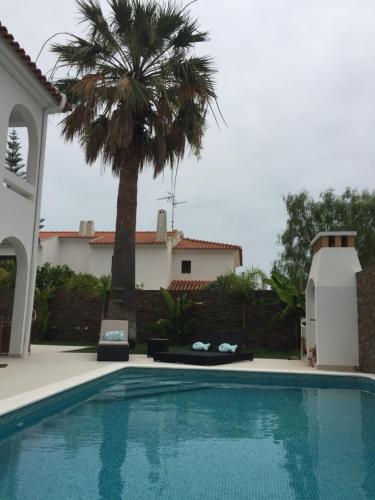 een zwembad voor een huis met een palmboom bij Casa de praia in Manta Rota