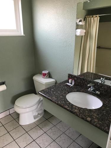 a bathroom with a toilet and a sink at Economy Inn in Modesto