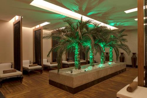 Galería fotográfica de Delphin Imperial Lara en Lara