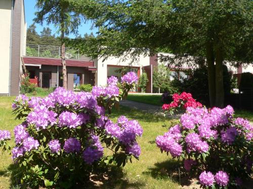 a bunch of purple flowers in front of a house at Leśna Wisełka in Wisełka