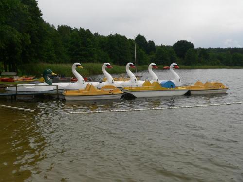 a group of swan boats in the water at Leśna Wisełka in Wisełka