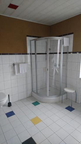 a bathroom with a shower and a toilet at Hotel & Auberge le Journal in Sankt Wendel