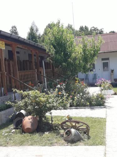 Zahrada ubytování Хотел Сандим
