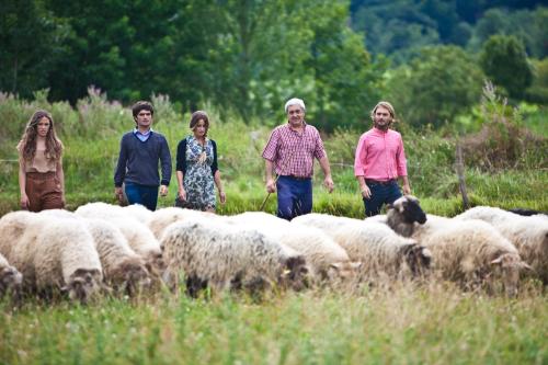 a group of people standing in a field with a herd of sheep at Agroturismo Ondarre in Segura
