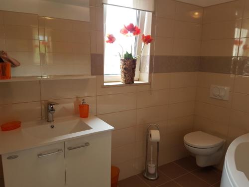 a bathroom with a sink and a toilet and a window at Apartment Casa Eni in Dražice