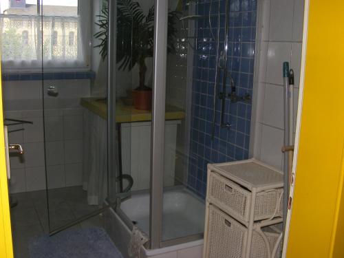 a bathroom with a shower with a plant in it at Gudrun Waegner in Welcherath