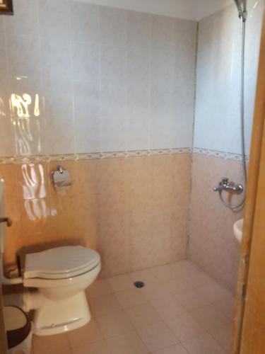 プリモルスコにあるGuest House Veselinaのバスルーム(トイレ、シャワー付)
