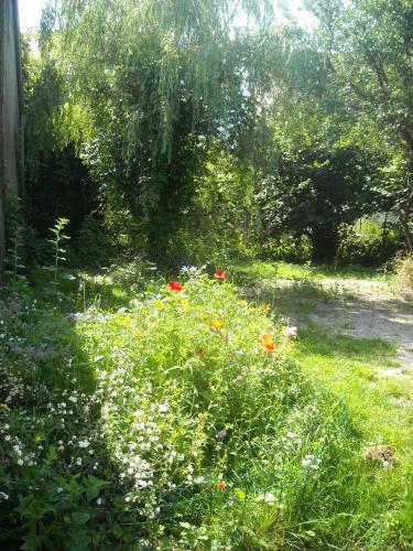 a field of flowers in the middle of a yard at Chambres d'Hôtes des Grands Prés in Argentan