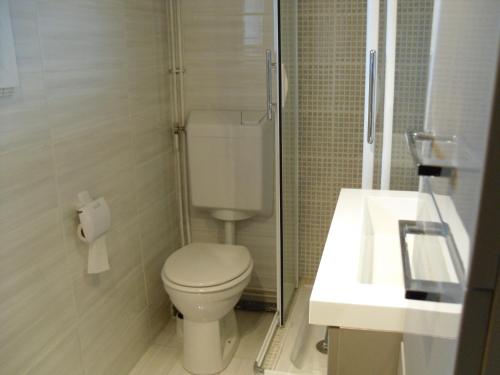 a bathroom with a toilet and a sink and a shower at Calme & Indépendance in Lourdes