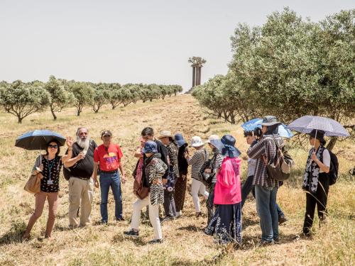 a group of people standing in a field with umbrellas at Ramat Rachel Resort in Jerusalem