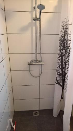 uma casa de banho com um chuveiro e uma parede de vidro em Sefdalur Studio Apartment em Höfn