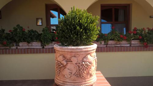 a vase with a plant in it on a table at Vitis Vendégház in Becsehely