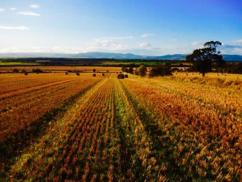 an open field with hay bales in the middle at Rowanlea Lodge With Hot Tub in Marykirk