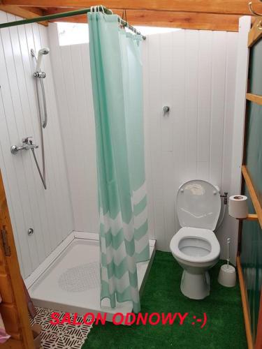 a bathroom with a toilet and a shower at PEPASÓWKA in Łukęcin
