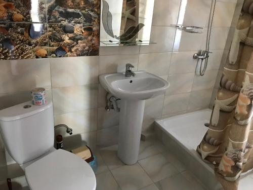 a bathroom with a toilet and a sink at Villa Orchidea in Zatoka