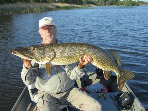 a man in a boat holding a large fish at Bed & Breakfast Kortenhoefsedijk in Kortenhoef