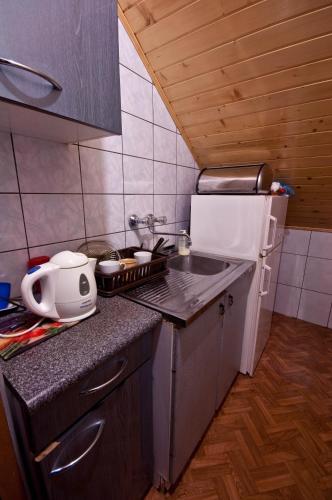 a small kitchen with a counter and a refrigerator at Willa Asia in Wisła