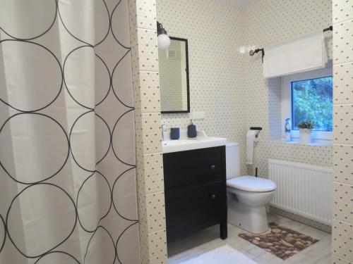a bathroom with a toilet and a sink and a mirror at Mizarai Mill House in Druskininkai