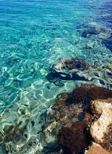 a view of the ocean with rocks in the water at Apartments Livia in Lastovo