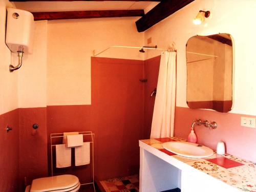 a bathroom with a sink and a toilet and a mirror at antica casa "le rondini" in Borgo a Buggiano