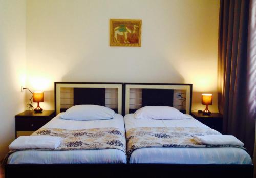 two twin beds in a bedroom with two lamps at Guest House Gardenia & Wine Cellar in Lagodekhi
