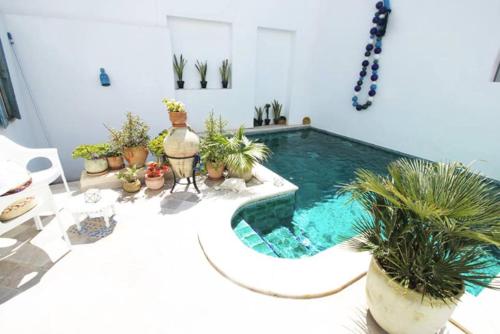 a swimming pool with potted plants in a room at Dar R'Bat in Nabeul