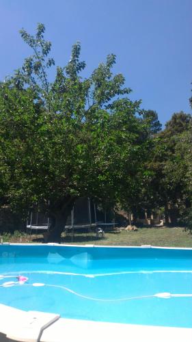 deux photos d'un arbre et d'une piscine dans l'établissement Le Mas Sylva, à La Barriére
