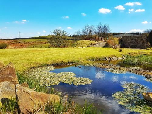 a stream with lilies in a grassy field with a road at Grains Bar Hotel in Oldham
