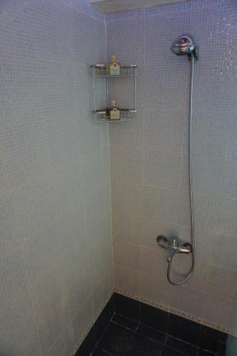 a bathroom with a shower with a tiled wall at Dolichi Studio in Samos