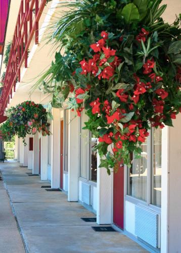 Gambar di galeri bagi Passion Play Road Inn - Formerly Statue Road Inn di Eureka Springs