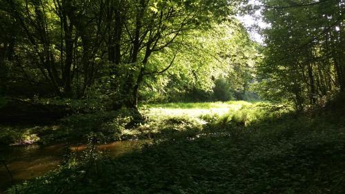 Φυσικό τοπίο κοντά σε αυτή η παραθεριστική κατοικία