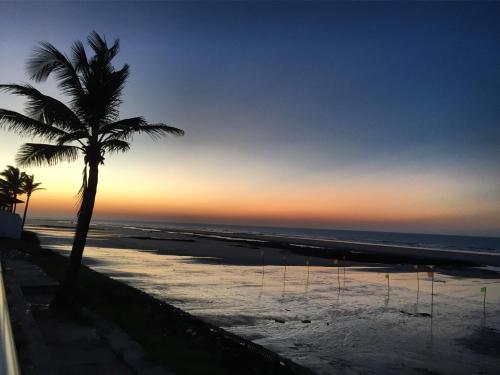 a palm tree on the beach at sunset at Hotel Ondas do Mar in Salinópolis