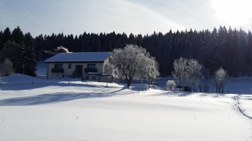 una casa en un campo cubierto de nieve con árboles en MV Vacances en Les Rousses
