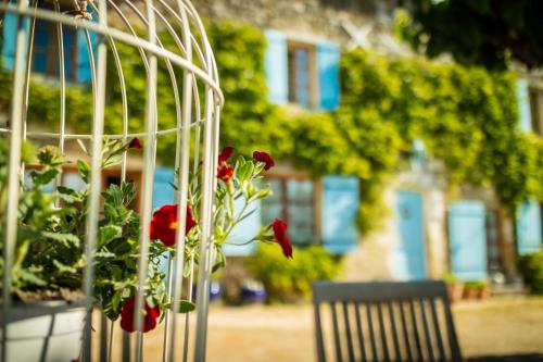 Mas Conil – Photos 4