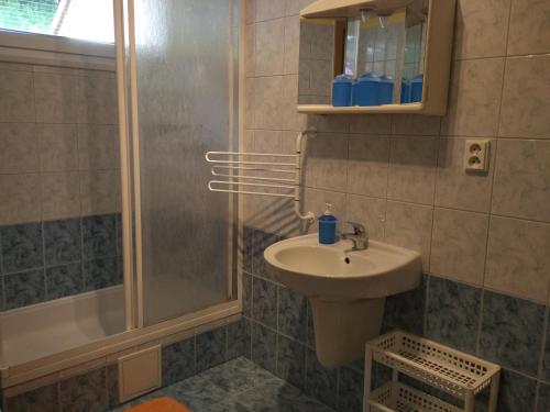 a bathroom with a sink and a shower at penzion Pomněnka in Lipova Lazne