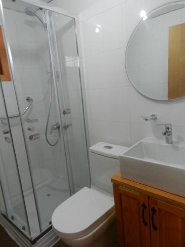 a bathroom with a shower and a toilet and a sink at Cabañas en Termas de Chillán in Recinto