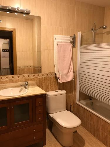 y baño con aseo, lavabo y espejo. en Apartamento Horreo Centro Cangas de Onis, en Cangas de Onís