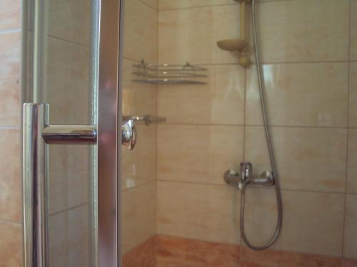 a shower with a glass door in a bathroom at PLITVICE KONAK Daic in Plitvička Jezera