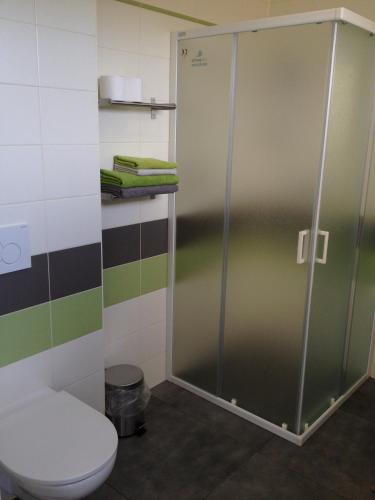 a shower stall in a bathroom with a toilet at Apartment Zelená zahrada in Mladá Vožice