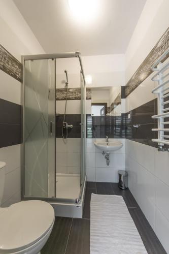 a bathroom with a shower and a toilet and a sink at Willa Magda in Jastrzębia Góra