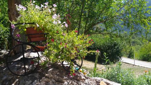 a plant sitting on top of a rock at Apartment Mond in Virpazar