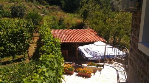 an outdoor garden with an umbrella and some plants at Apartment Mond in Virpazar