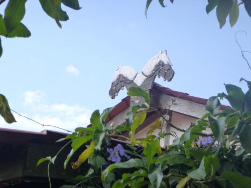 a house with some flowers in front of it at Finca Lindos Ojos in Estelí