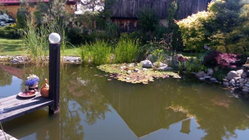 a pond with a dock in a garden at Privat Greenland in Liptovský Mikuláš