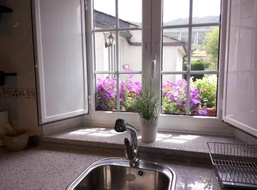 Κήπος έξω από το Vivienda de Uso Turístico Carballo Blanco 1