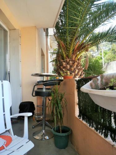 d'une terrasse avec un bar orné de plantes et un évier. dans l'établissement Cosy Nîmes, à Nîmes