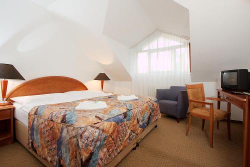 a bedroom with a bed and a desk and a television at Hotel Chotol in Horoměřice